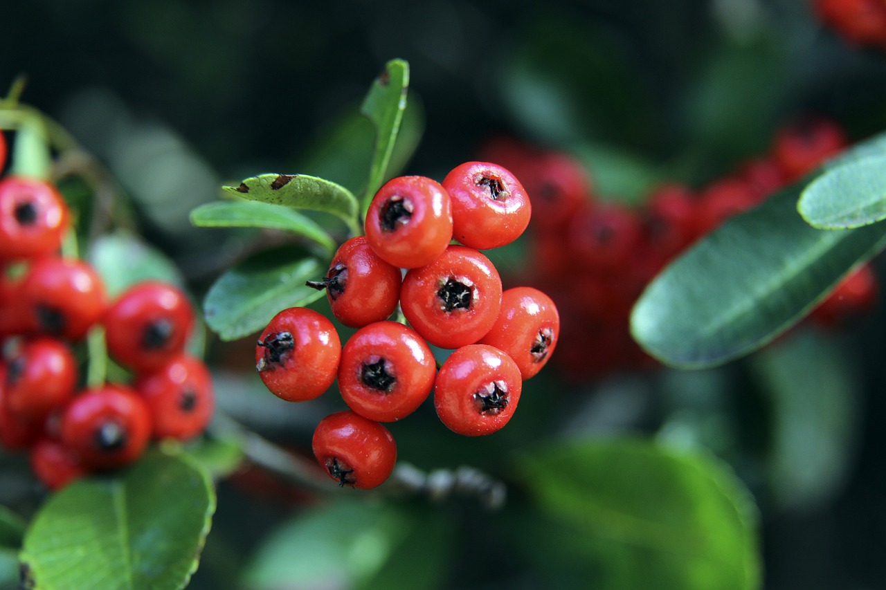 球队内部管 球队内部管