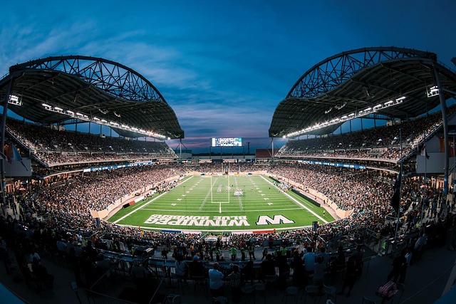 不仅赢得了 不仅赢得了