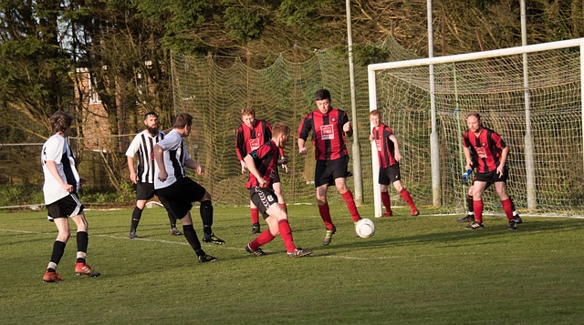 关公平性的 关公平性的