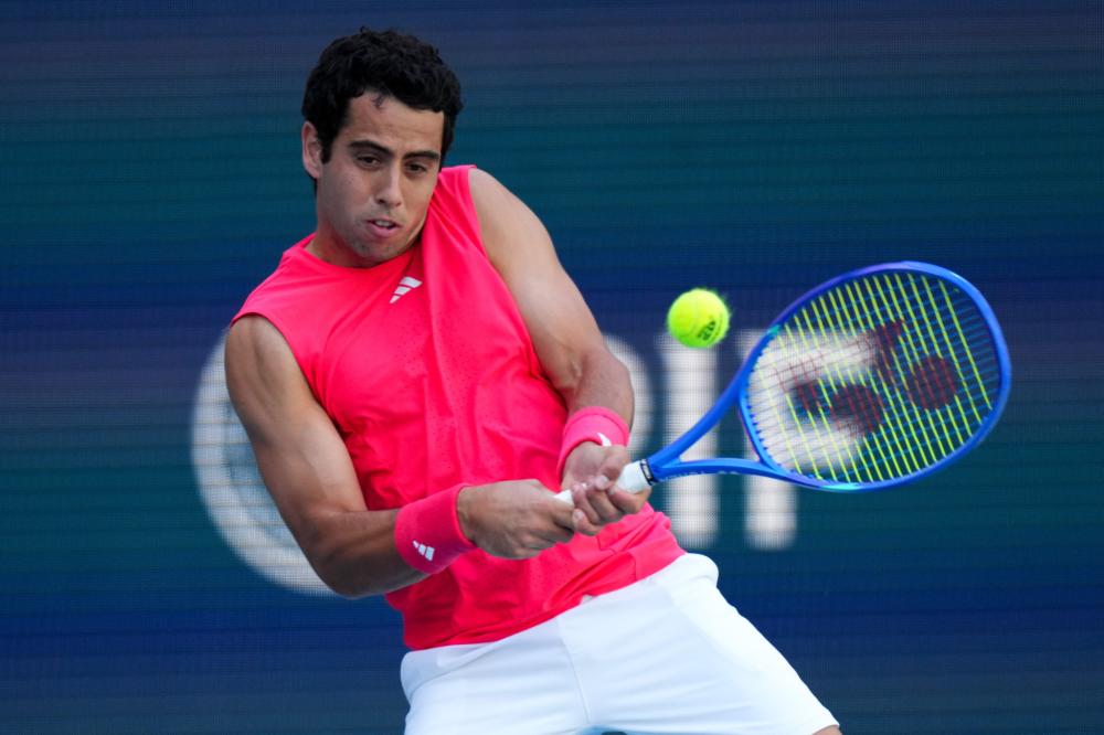 体号召力 体号召力